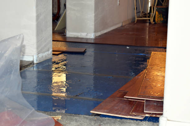 Professional Basement Flood Cleanup technician working in Harrah, OK